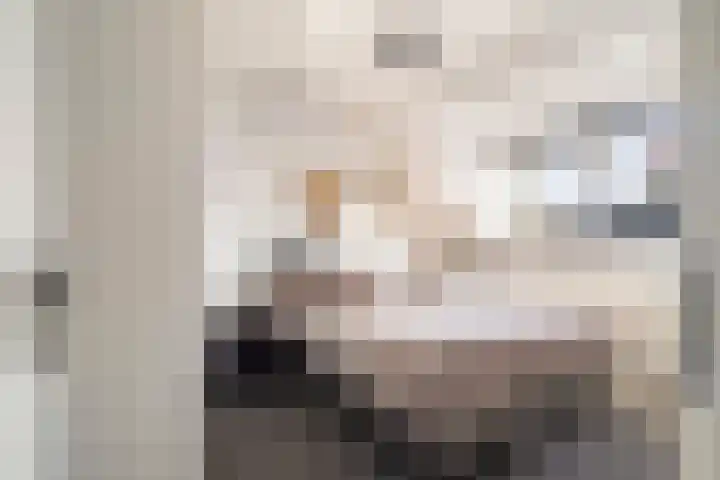 Jupiterhof 6 Wijk bij Duurstede thumbnail 36