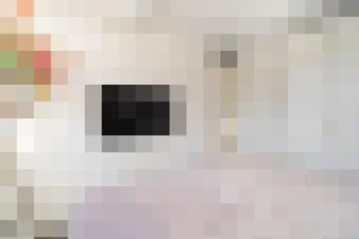 Jupiterhof 6 Wijk bij Duurstede thumbnail 38