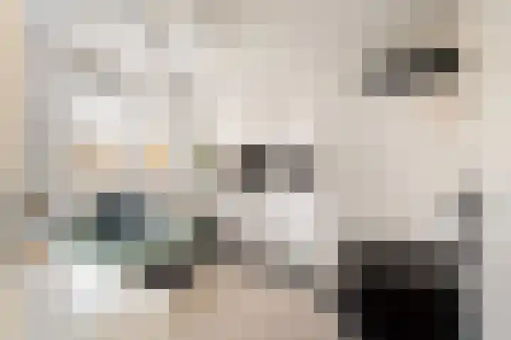 Jupiterhof 6 Wijk bij Duurstede thumbnail 40