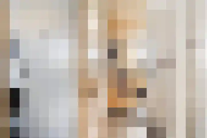 Jupiterhof 6 Wijk bij Duurstede thumbnail 44