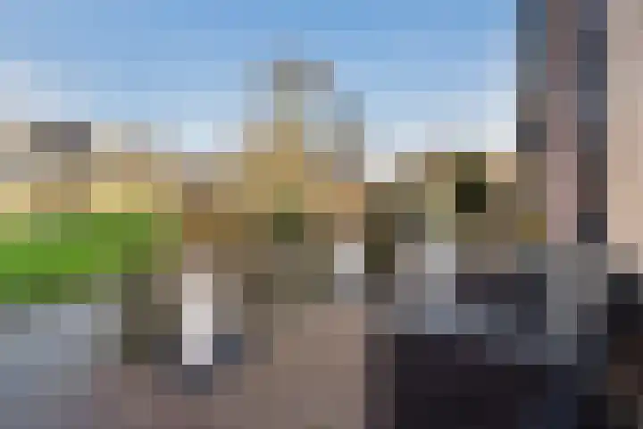Jupiterhof 6 Wijk bij Duurstede thumbnail 55