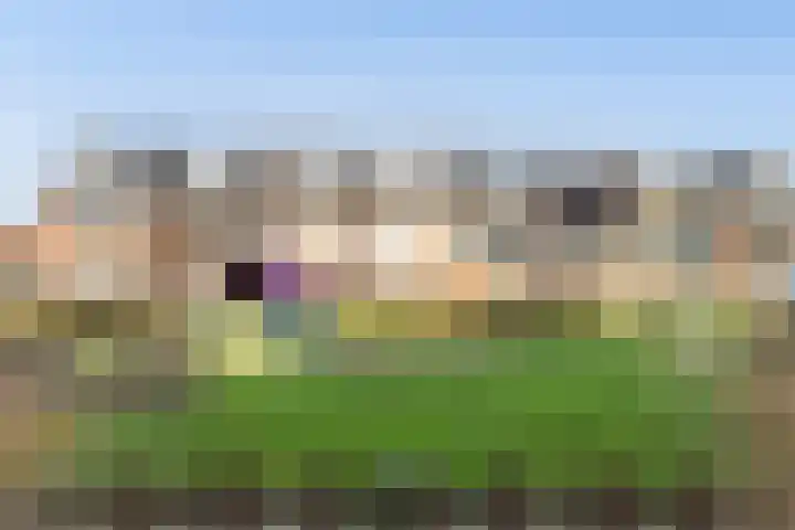 Jupiterhof 6 Wijk bij Duurstede thumbnail 57