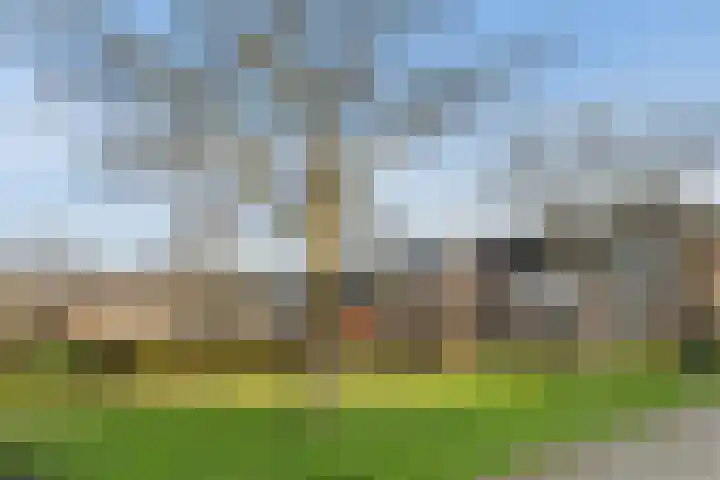 Jupiterhof 6 Wijk bij Duurstede thumbnail 59