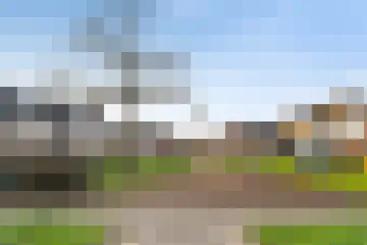 Jupiterhof 6 Wijk bij Duurstede thumbnail 60