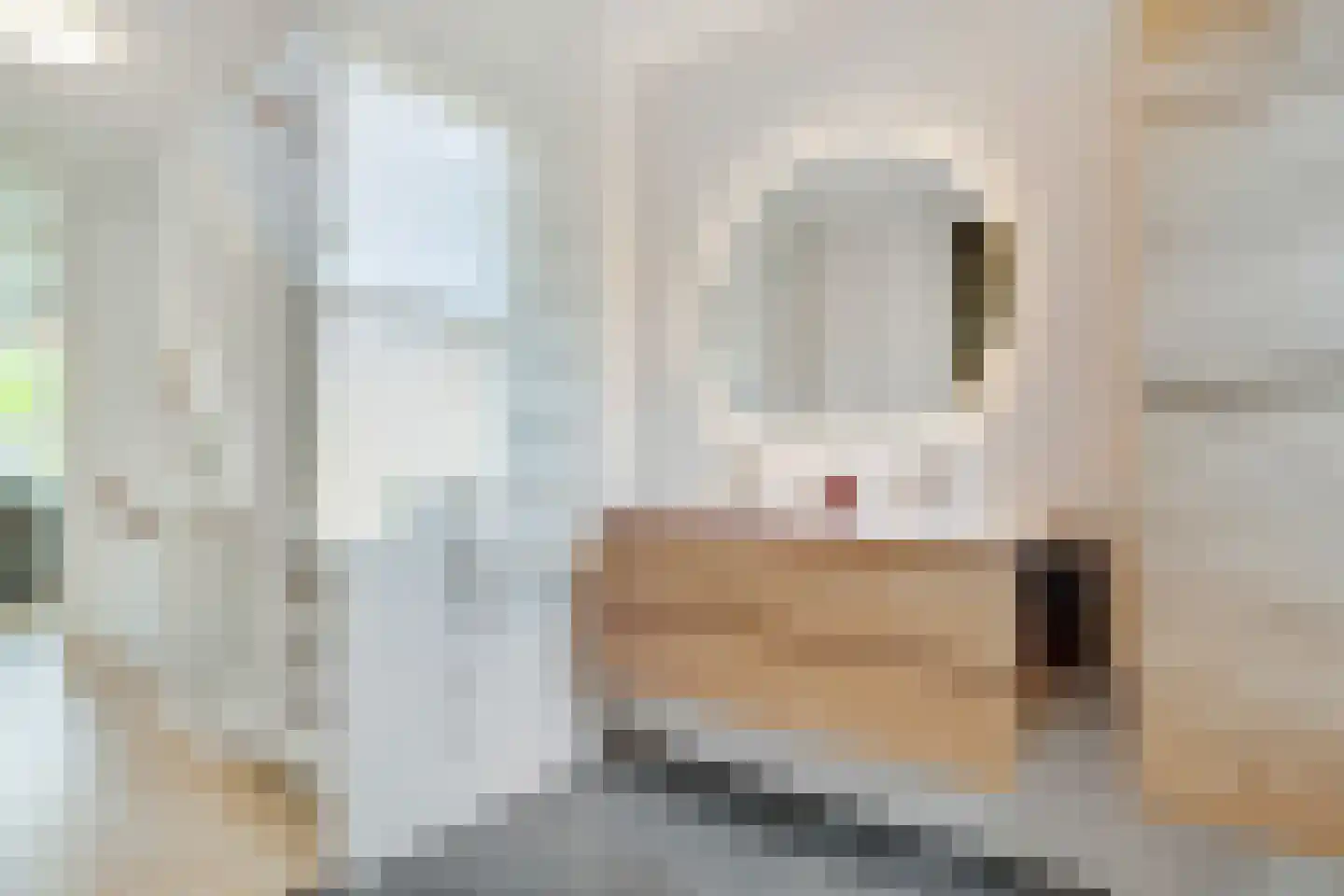 Jupiterhof 7 Huis ter Heide thumbnail 22