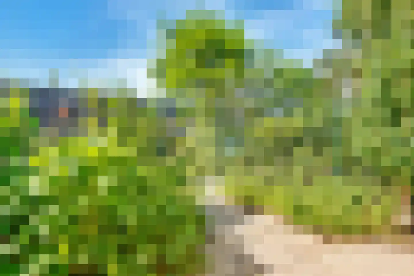 Jupiterhof 7 Huis ter Heide thumbnail 27