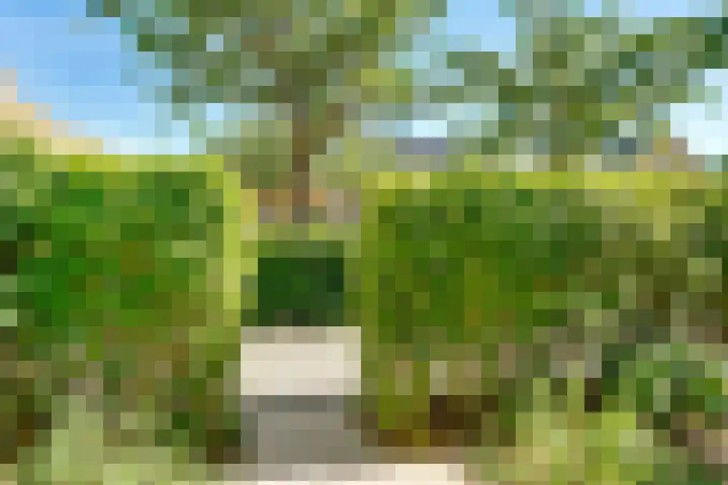 Jupiterhof 7 Huis ter Heide thumbnail 35