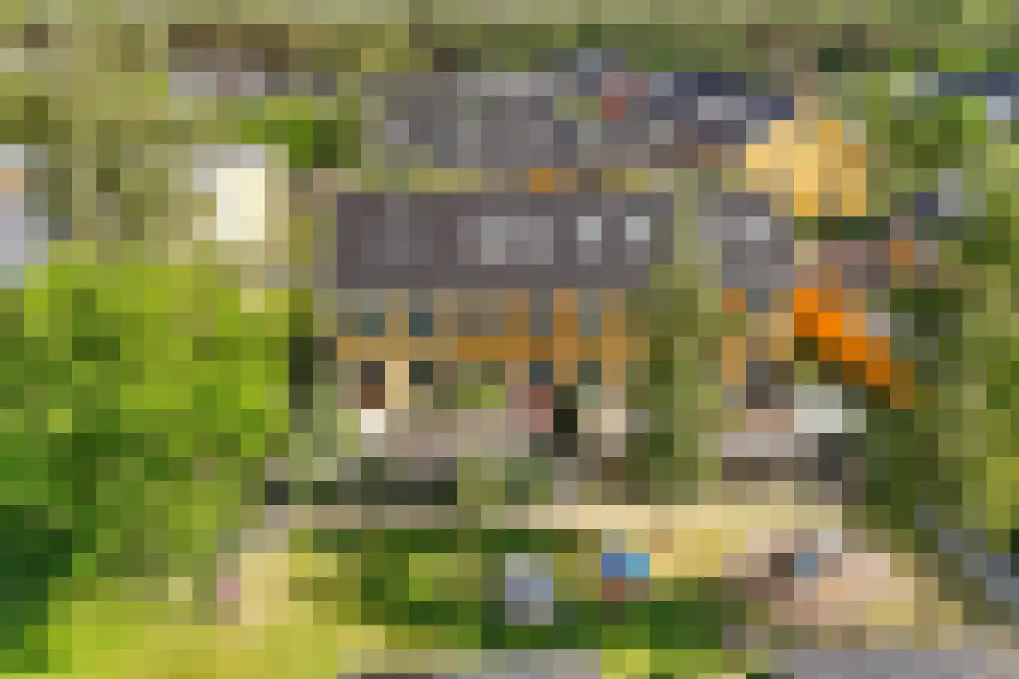 Jupiterhof 7 Huis ter Heide thumbnail 37