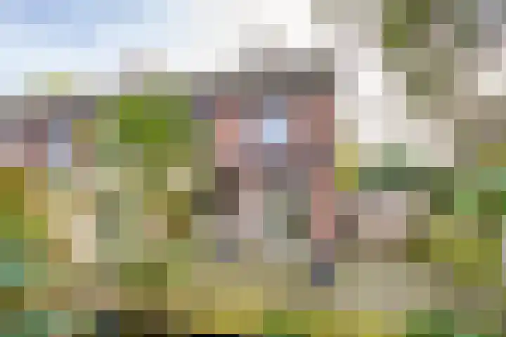 Jupiterhof 7 Maastricht thumbnail 13