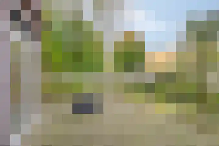 Jupiterhof 7 Maastricht thumbnail 14