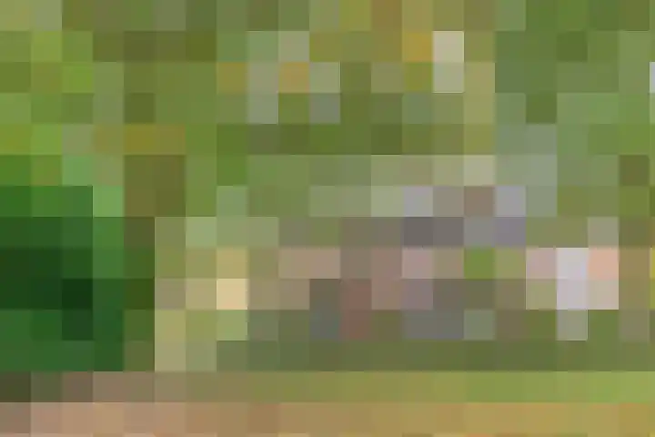 Jupiterhof 7 Maastricht thumbnail 37
