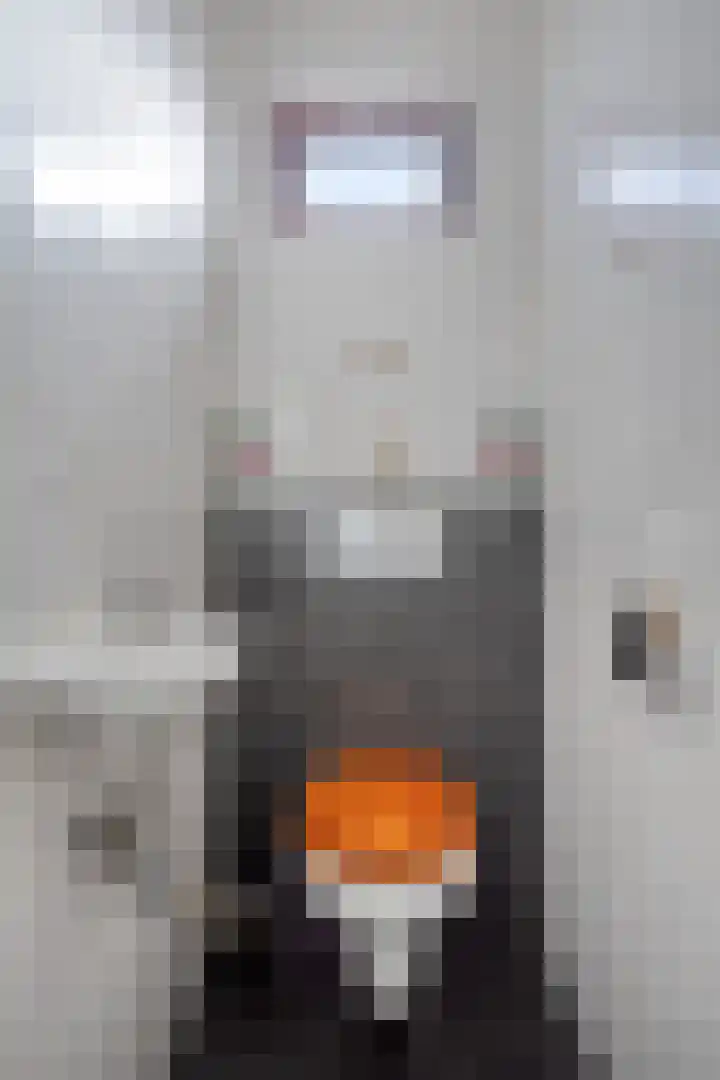 Jupiterhof 97 Maastricht thumbnail 5