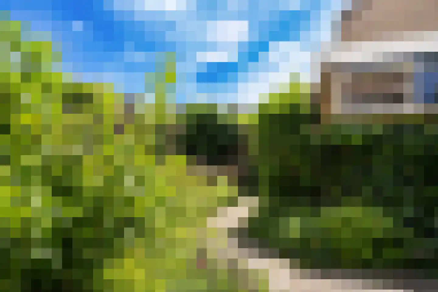 Jupiterlaan 12 Dordrecht thumbnail 19
