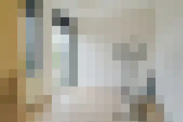 Jupiterlaan 16 Breda thumbnail 31
