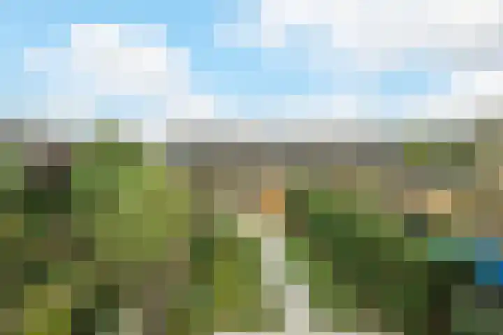 Jupiterlaan 16 Breda thumbnail 41