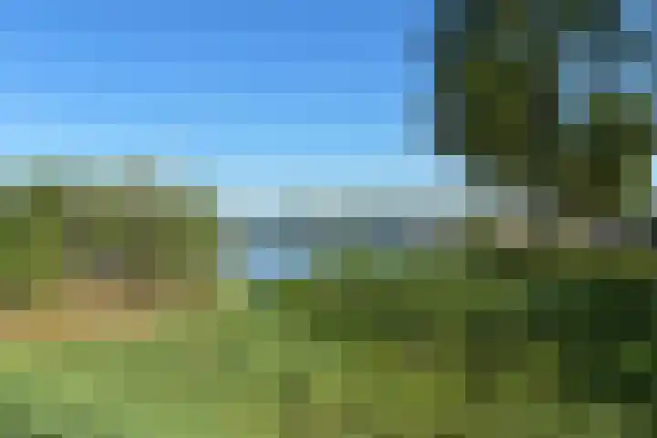 Jupiterlaan 16 Breda thumbnail 54