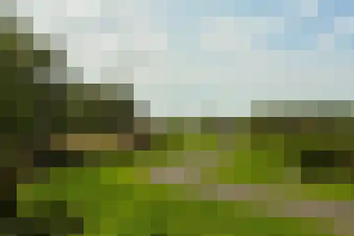 Jupiterlaan 16 Breda thumbnail 56