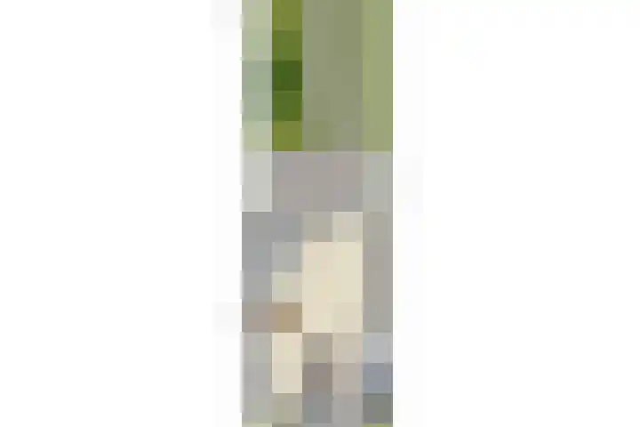 Jupiterlaan 16 Breda thumbnail 58