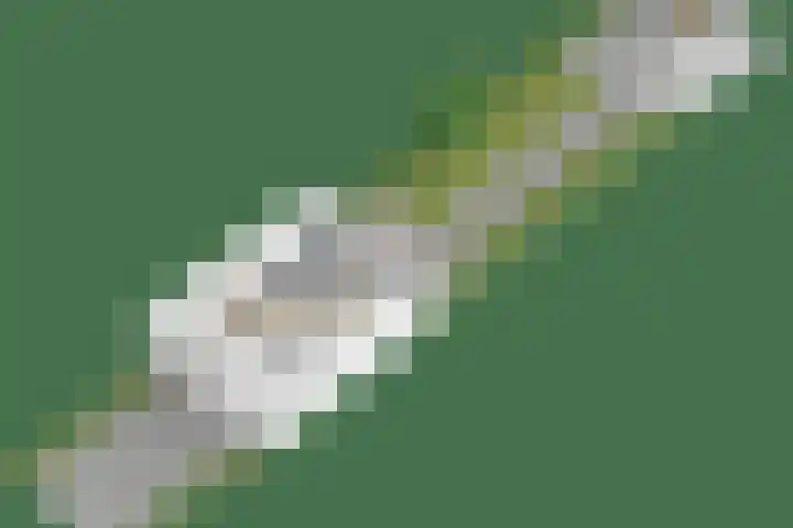 Jupiterlaan 16 Breda thumbnail 64