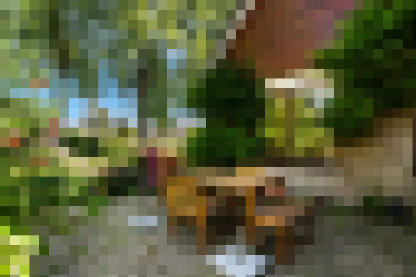 Jupiterlaan 19 Dordrecht thumbnail 35