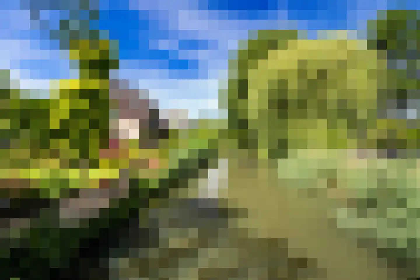 Jupiterlaan 19 Dordrecht thumbnail 38