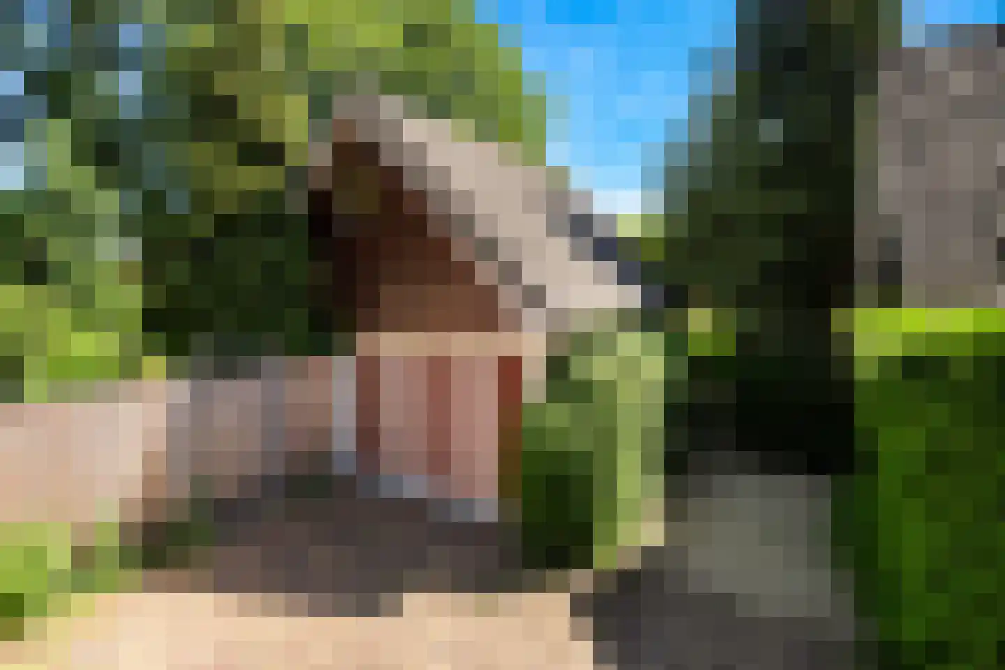 Jupiterlaan 19 Dordrecht thumbnail 8