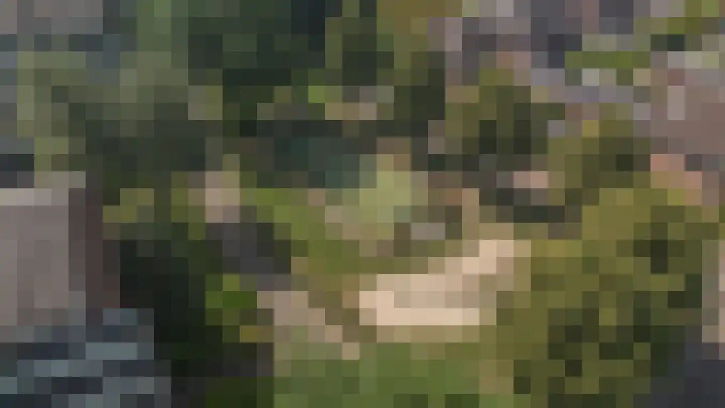 Jupiterlaan 20 Apeldoorn thumbnail 43