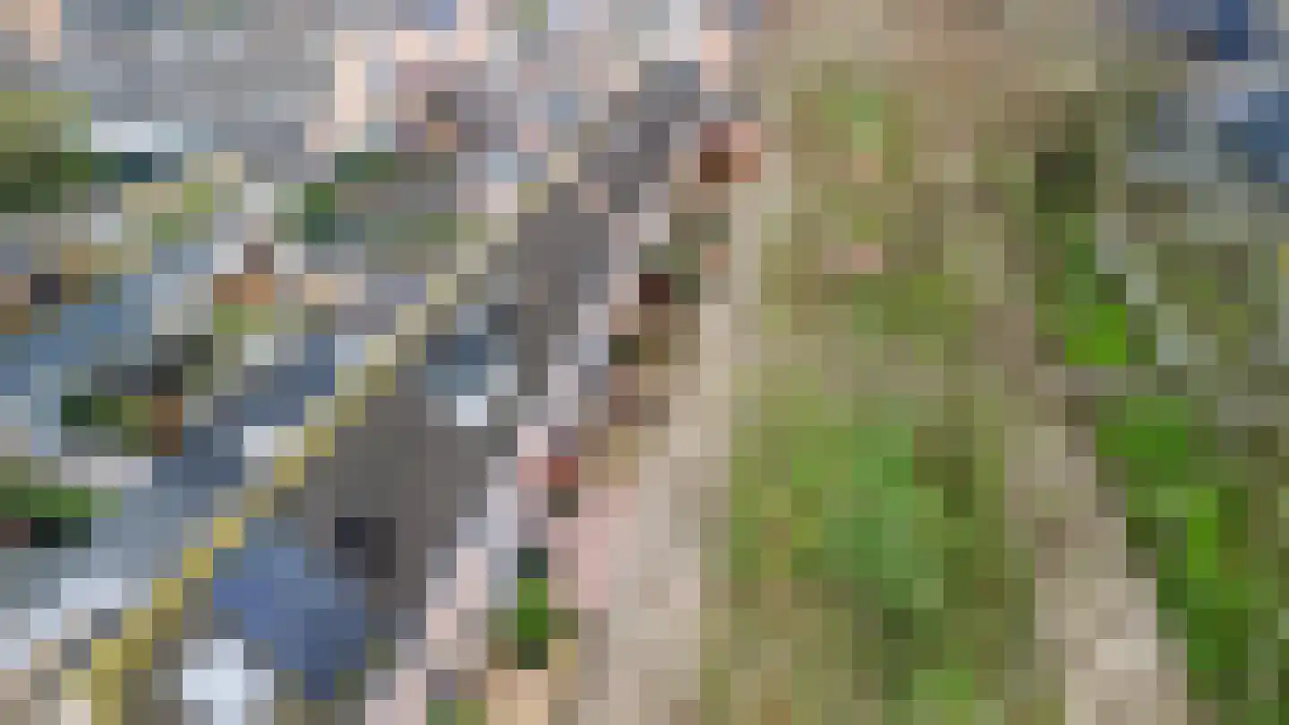 Jupiterlaan 29 Breda thumbnail 32