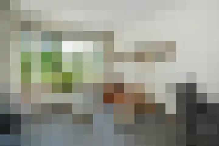 Jupiterlaan 7 Waddinxveen thumbnail 12