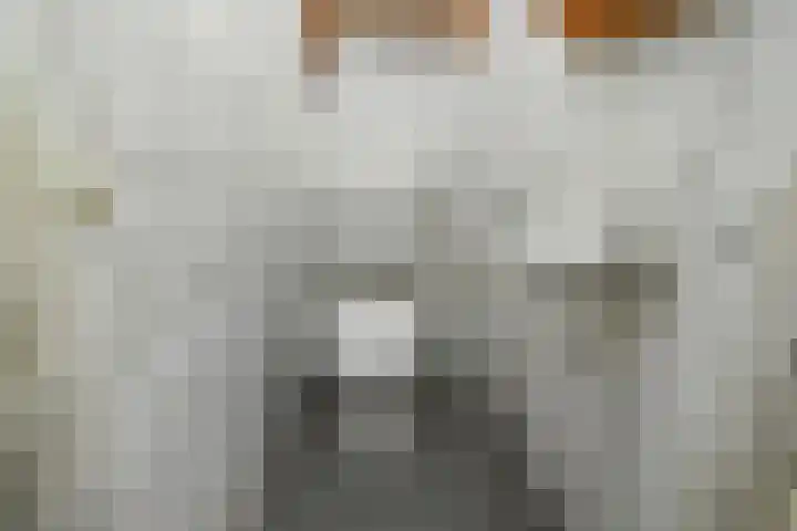 Jupiterlaan 7 Waddinxveen thumbnail 22