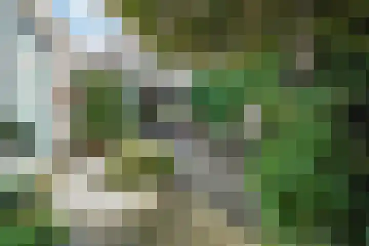 Jupiterlaan 7 Waddinxveen thumbnail 30