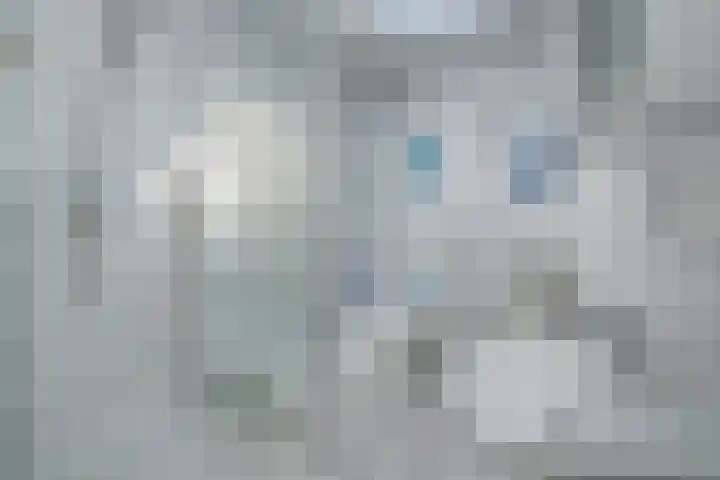 Jupiterlaan 7 Waddinxveen thumbnail 4