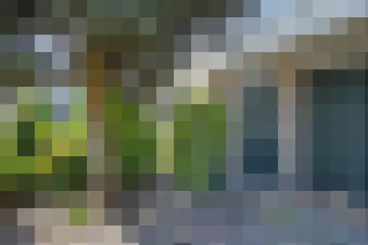 Jupiterlaan 7 Waddinxveen thumbnail 5