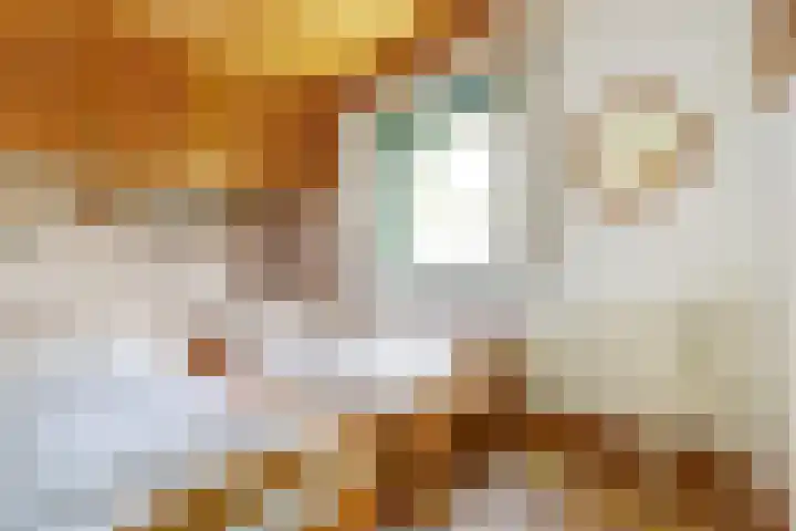 Jupiterlaan 8 Kamperland thumbnail 20