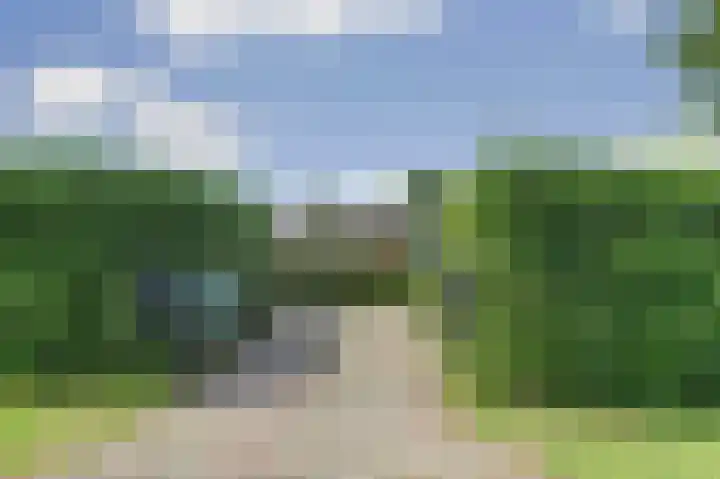 Jupiterlaan 8 Kamperland thumbnail 4