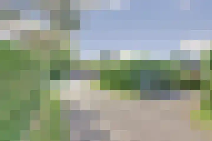 Jupiterlaan 8 Kamperland thumbnail 5