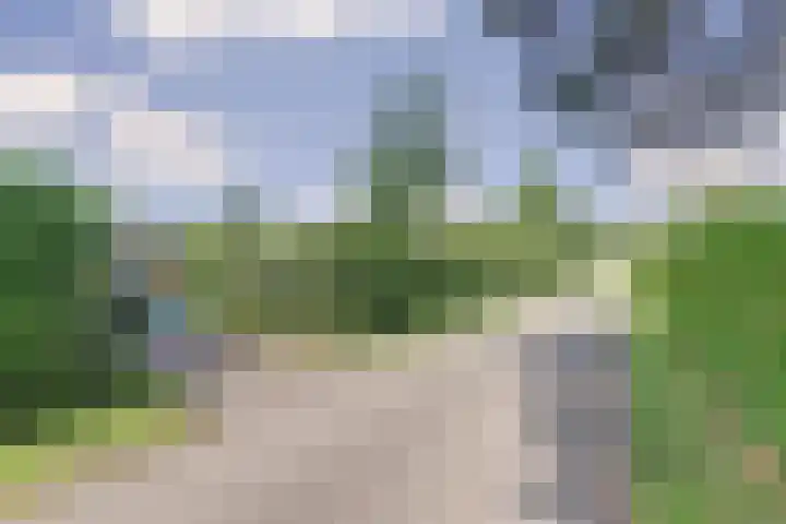 Jupiterlaan 8 Kamperland thumbnail 6