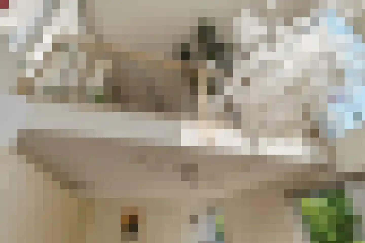 Jupitersingel 18 Almere thumbnail 11