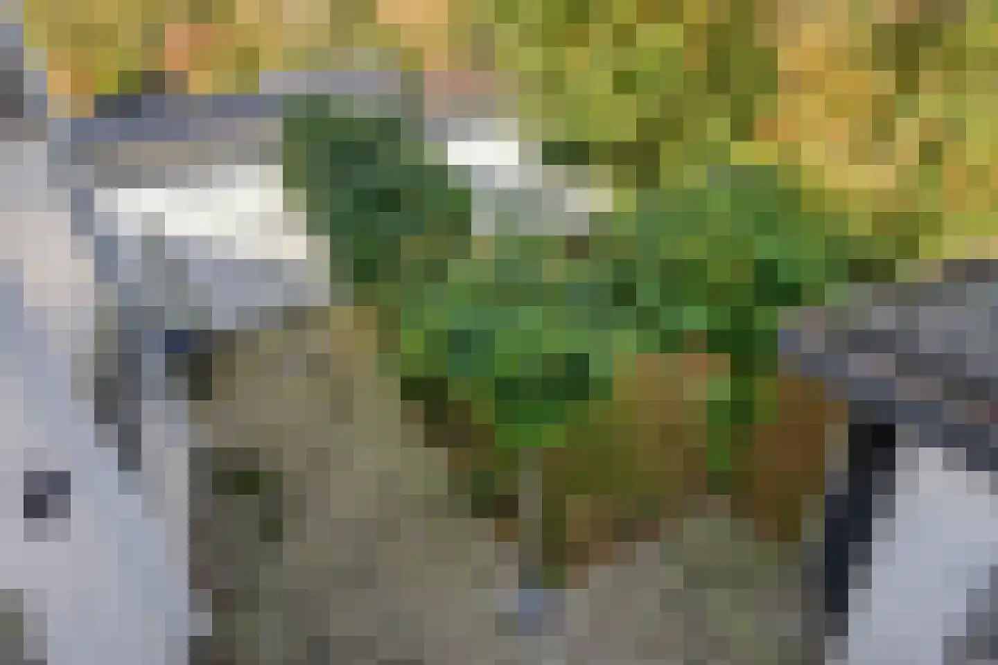 Jupitersingel 21 Rosmalen thumbnail 32