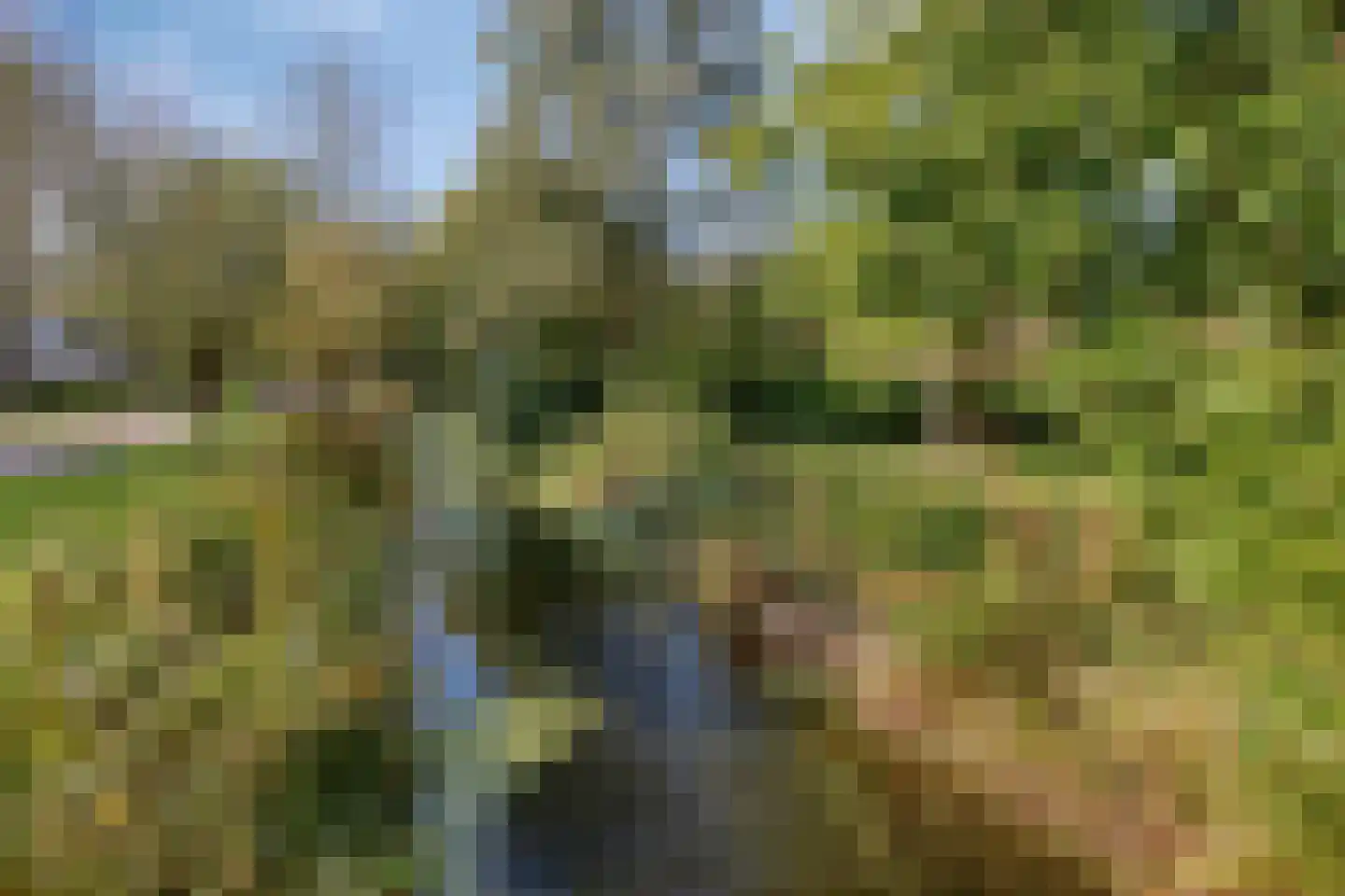 Jupitersingel 21 Rosmalen thumbnail 41