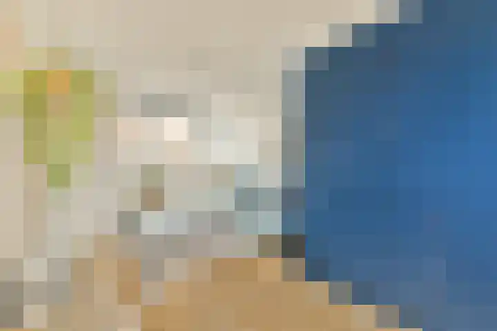 Jupiterstraat 10 Amsterdam thumbnail 15