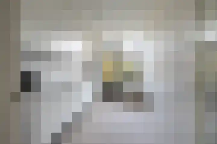 Jupiterstraat 10 Groningen thumbnail 18