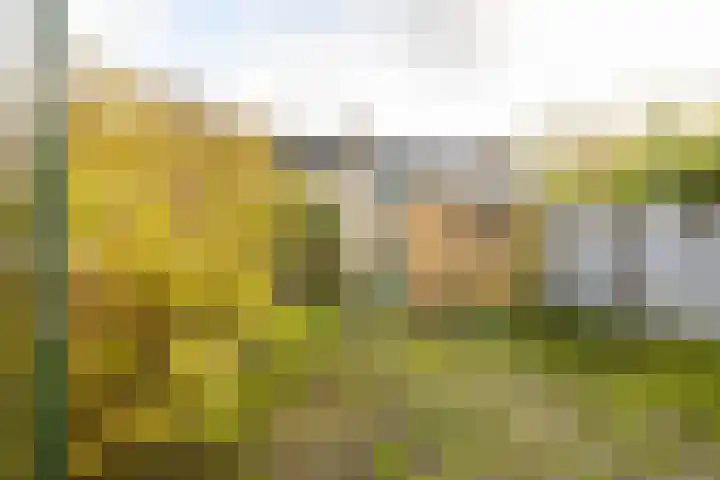Jupiterstraat 10 Groningen thumbnail 23