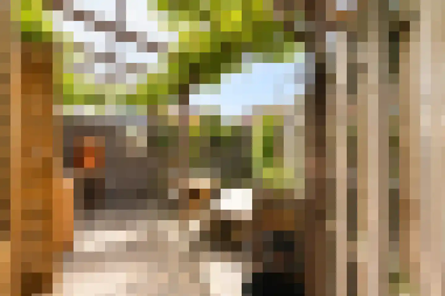 Jupiterstraat 11 Amsterdam thumbnail 25