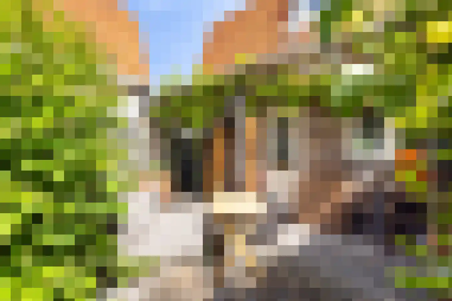 Jupiterstraat 11 Amsterdam thumbnail 26