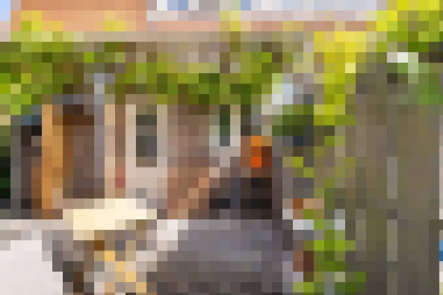 Jupiterstraat 11 Amsterdam thumbnail 28