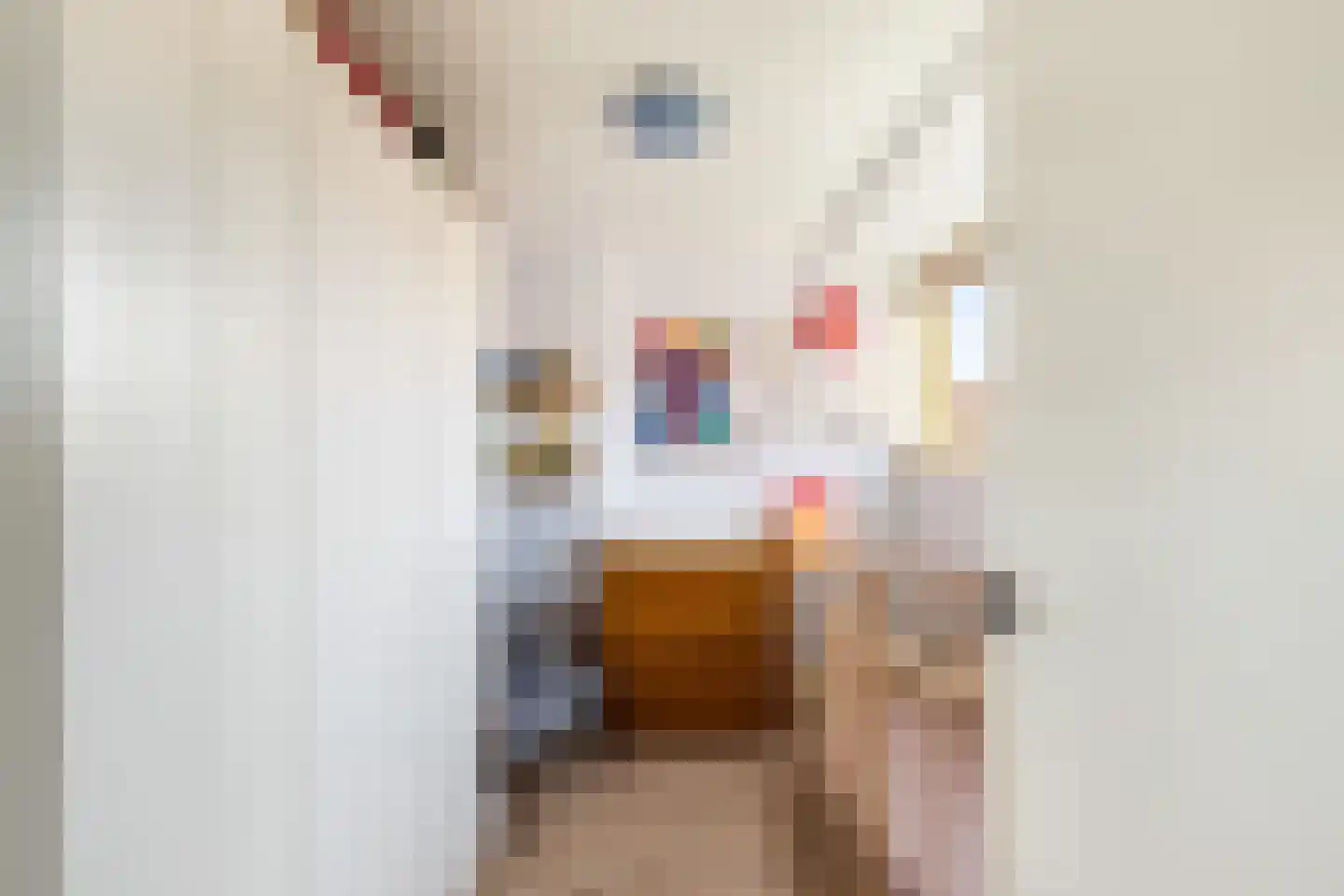 Jupiterstraat 11 Amsterdam thumbnail 32