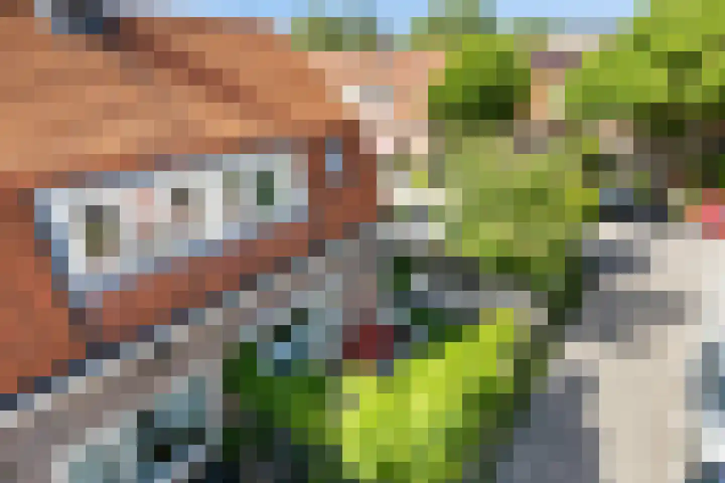 Jupiterstraat 11 Amsterdam thumbnail 49