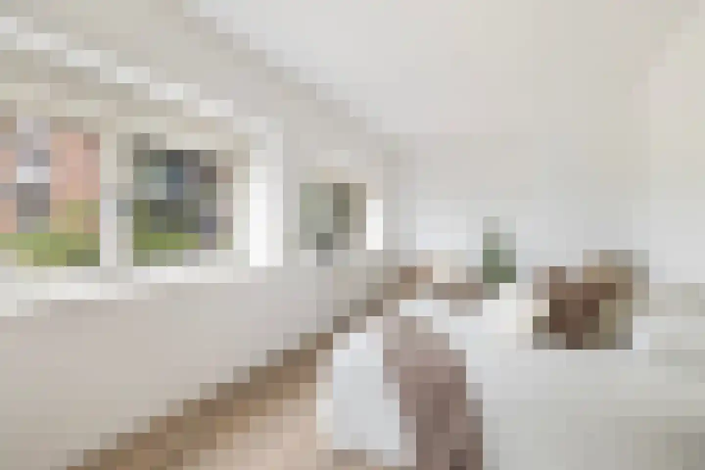 Jupiterstraat 112 Rotterdam thumbnail 10