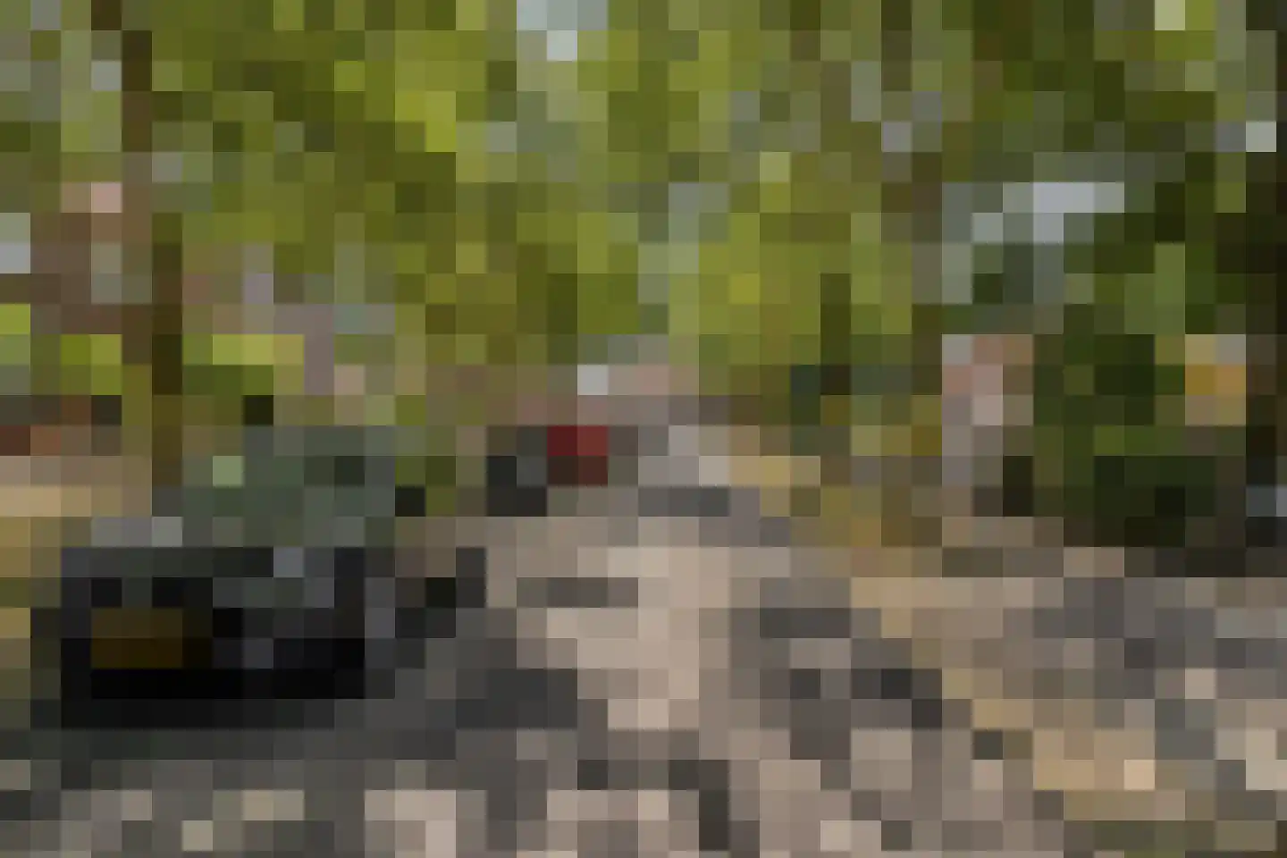 Jupiterstraat 12 Geleen thumbnail 5